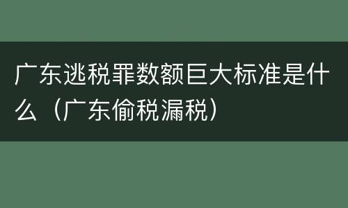 广东逃税罪数额巨大标准是什么（广东偷税漏税）