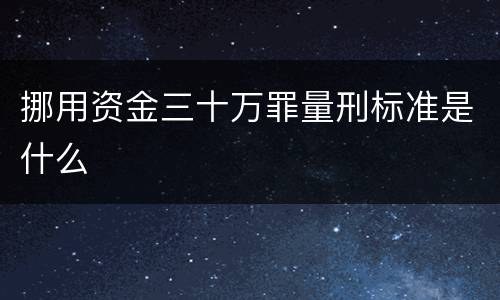 挪用资金三十万罪量刑标准是什么
