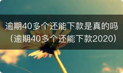 逾期40多个还能下款是真的吗（逾期40多个还能下款2020）