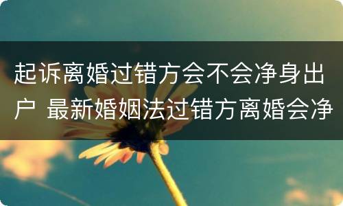 起诉离婚过错方会不会净身出户 最新婚姻法过错方离婚会净身出户吗