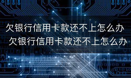 欠银行信用卡款还不上怎么办 欠银行信用卡款还不上怎么办呀