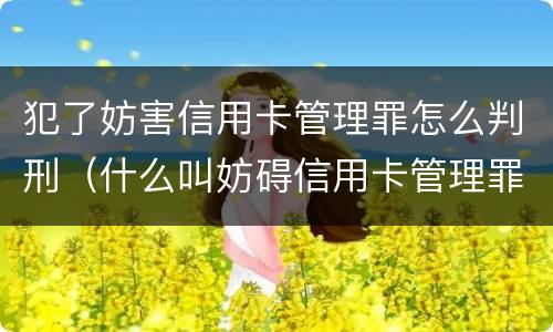 犯了妨害信用卡管理罪怎么判刑（什么叫妨碍信用卡管理罪）