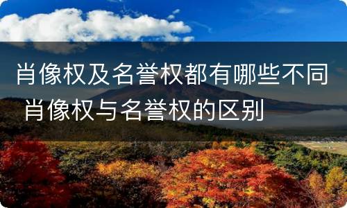 肖像权及名誉权都有哪些不同 肖像权与名誉权的区别