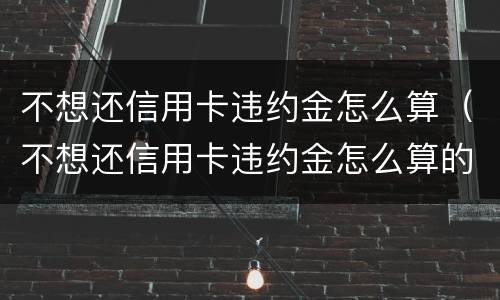 不想还信用卡违约金怎么算（不想还信用卡违约金怎么算的）