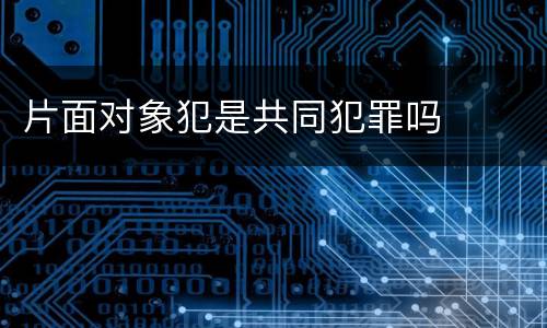 片面对象犯是共同犯罪吗