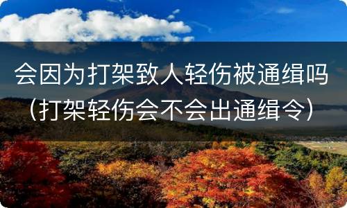 会因为打架致人轻伤被通缉吗（打架轻伤会不会出通缉令）