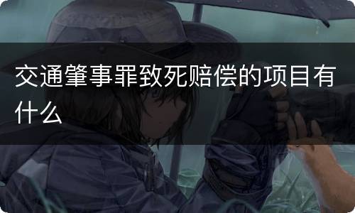 交通肇事罪致死赔偿的项目有什么