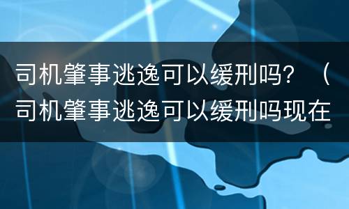 司机肇事逃逸可以缓刑吗？（司机肇事逃逸可以缓刑吗现在）