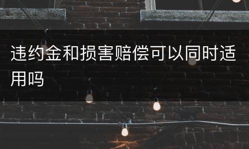 违约金和损害赔偿可以同时适用吗