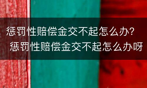 惩罚性赔偿金交不起怎么办？ 惩罚性赔偿金交不起怎么办呀
