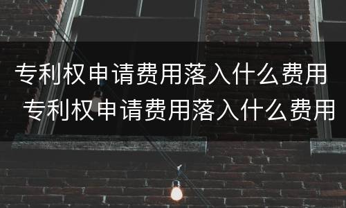 专利权申请费用落入什么费用 专利权申请费用落入什么费用里面