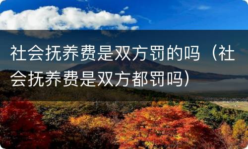 社会抚养费是双方罚的吗（社会抚养费是双方都罚吗）