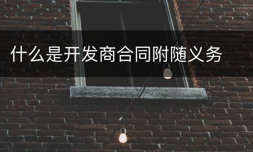 什么是开发商合同附随义务