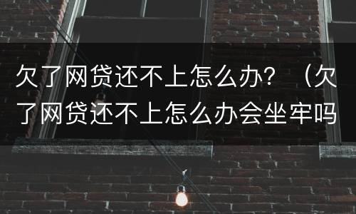 欠了网贷还不上怎么办？（欠了网贷还不上怎么办会坐牢吗）