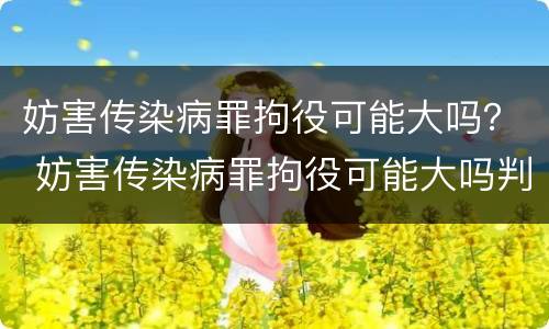 妨害传染病罪拘役可能大吗？ 妨害传染病罪拘役可能大吗判多少年