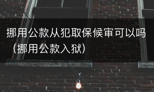 挪用公款从犯取保候审可以吗（挪用公款入狱）