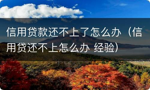 信用贷款还不上了怎么办（信用贷还不上怎么办 经验）