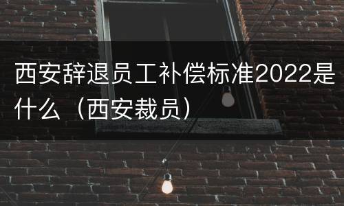 西安辞退员工补偿标准2022是什么（西安裁员）