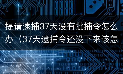 提请逮捕37天没有批捕令怎么办（37天逮捕令还没下来该怎么办）