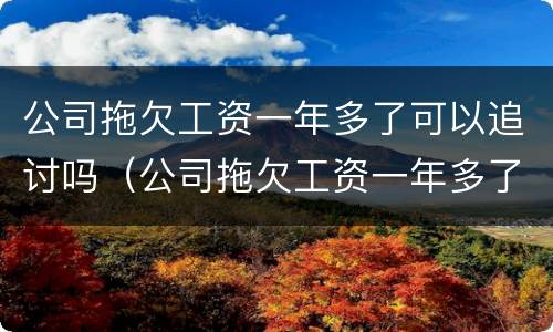 公司拖欠工资一年多了可以追讨吗（公司拖欠工资一年多了怎么办）