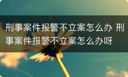 刑事案件报警不立案怎么办 刑事案件报警不立案怎么办呀