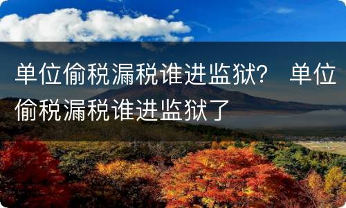 单位偷税漏税谁进监狱？ 单位偷税漏税谁进监狱了