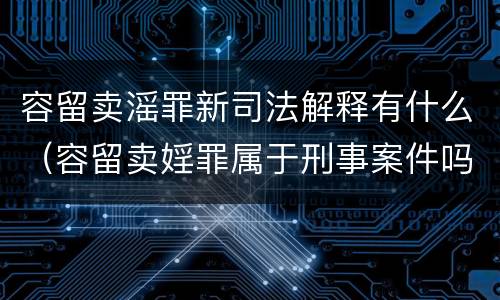 容留卖滛罪新司法解释有什么（容留卖婬罪属于刑事案件吗）