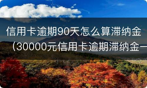 信用卡逾期90天怎么算滞纳金（30000元信用卡逾期滞纳金一天怎么算）