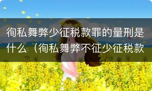 徇私舞弊少征税款罪的量刑是什么（徇私舞弊不征少征税款罪的犯罪主体是）