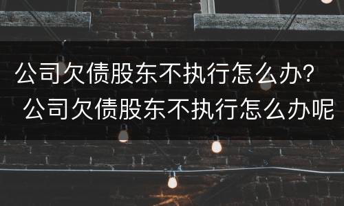 公司欠债股东不执行怎么办？ 公司欠债股东不执行怎么办呢
