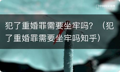 犯了重婚罪需要坐牢吗？（犯了重婚罪需要坐牢吗知乎）
