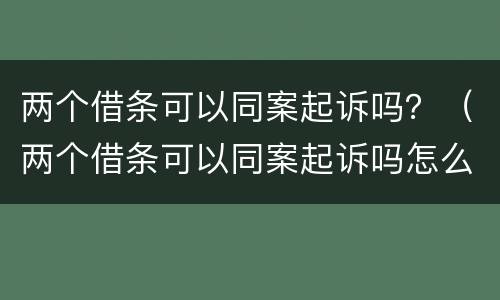 两个借条可以同案起诉吗？（两个借条可以同案起诉吗怎么写）