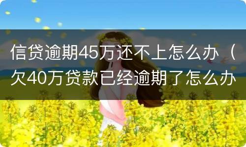 信贷逾期45万还不上怎么办（欠40万贷款已经逾期了怎么办?）