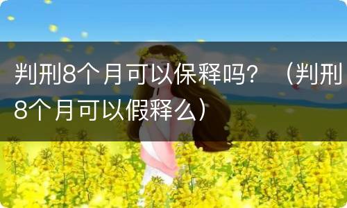 判刑8个月可以保释吗？（判刑8个月可以假释么）