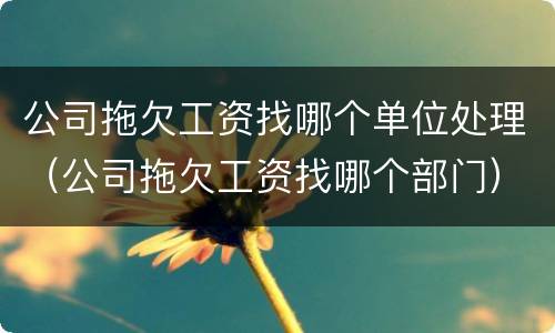公司拖欠工资找哪个单位处理（公司拖欠工资找哪个部门）