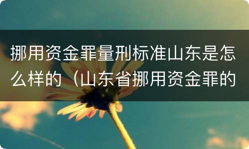 挪用资金罪量刑标准山东是怎么样的（山东省挪用资金罪的立案标准）