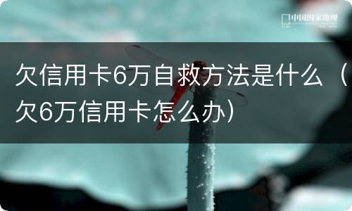 欠信用卡6万自救方法是什么（欠6万信用卡怎么办）