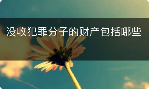 没收犯罪分子的财产包括哪些