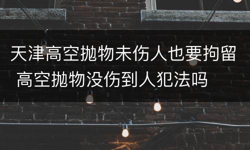 天津高空抛物未伤人也要拘留 高空抛物没伤到人犯法吗