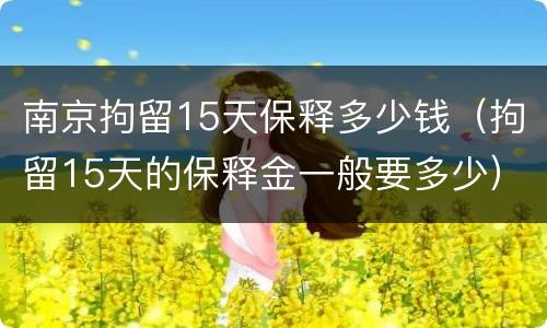 南京拘留15天保释多少钱（拘留15天的保释金一般要多少）