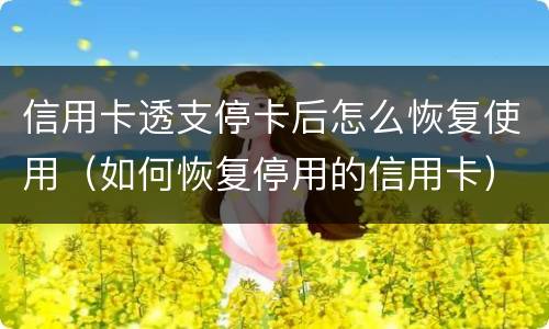 信用卡透支停卡后怎么恢复使用（如何恢复停用的信用卡）