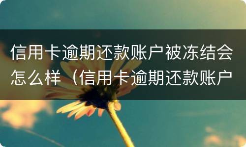 信用卡逾期还款账户被冻结会怎么样（信用卡逾期还款账户被冻结会怎么样吗）