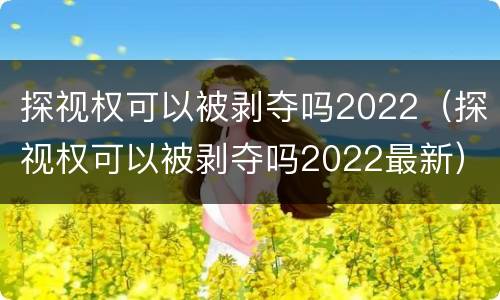 探视权可以被剥夺吗2022（探视权可以被剥夺吗2022最新）