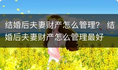 结婚后夫妻财产怎么管理？ 结婚后夫妻财产怎么管理最好