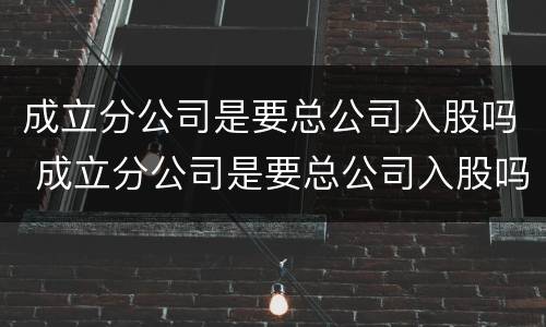 成立分公司是要总公司入股吗 成立分公司是要总公司入股吗
