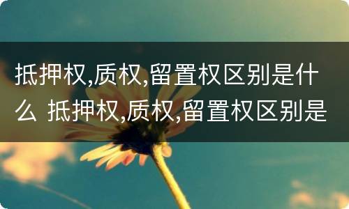 抵押权,质权,留置权区别是什么 抵押权,质权,留置权区别是什么意思