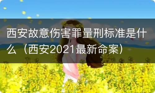 西安故意伤害罪量刑标准是什么（西安2021最新命案）
