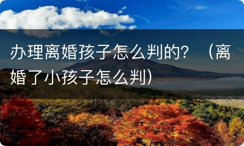 办理离婚孩子怎么判的？（离婚了小孩子怎么判）