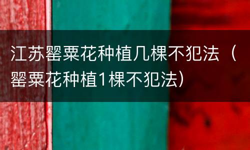 江苏罂粟花种植几棵不犯法（罂粟花种植1棵不犯法）
