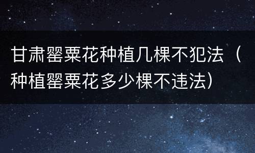 甘肃罂粟花种植几棵不犯法（种植罂粟花多少棵不违法）